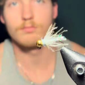 Agartha Flies 5 pack