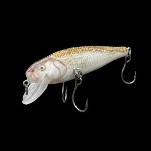 Fallfish BTAWT