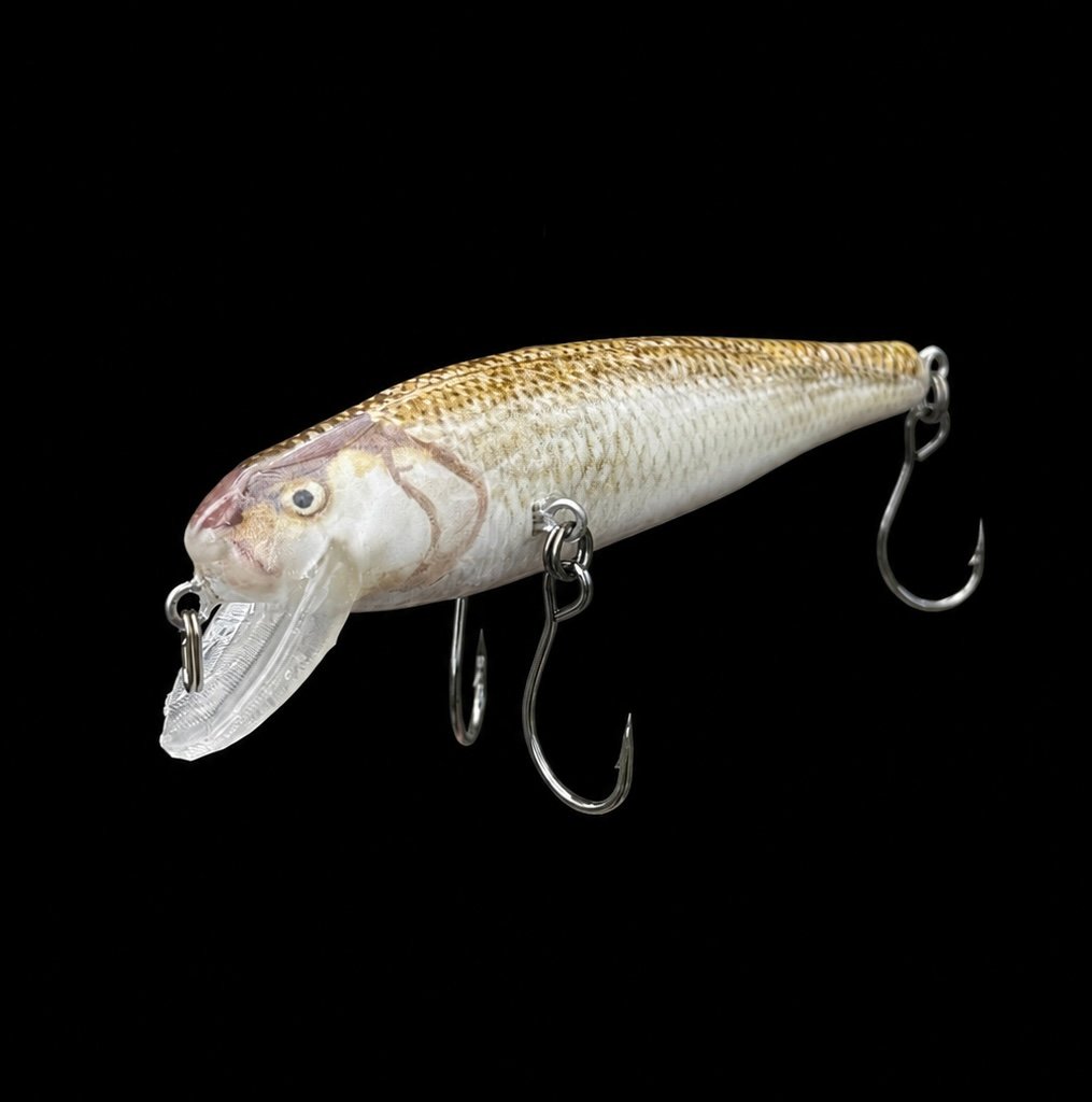 Fallfish BTAWT